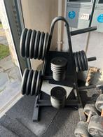 Gewichten met weight tree, Sport en Fitness, Ophalen, Zo goed als nieuw, Halterschijven