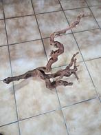 Wijntak van 64/47 cm, Dieren en Toebehoren, Reptielen en Amfibieën