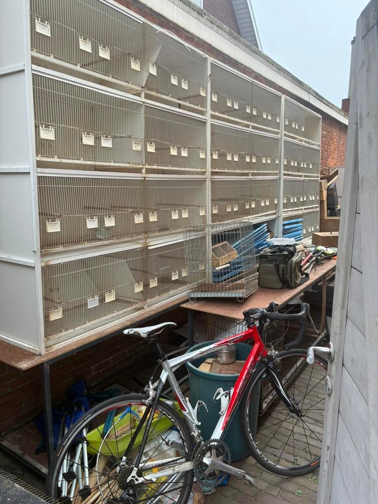 Kooien, Ophalen of Verzenden