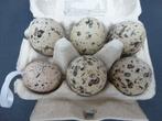 Décoration d'œufs de caille de Pâques en plastique, Enlèvement ou Envoi, Neuf