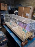 Cage de vol pour oiseaux, Animaux & Accessoires, Enlèvement