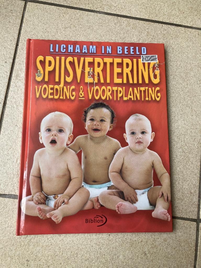 Boek - Lichaam in beeld spijsvertering Voeding voortplanting, Livres, Santé, Diététique & Alimentation, Enlèvement ou Envoi