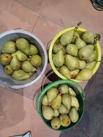 Peren, Ophalen