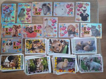 Panini schattige babydieren, baby's, 145 verschillende afbee beschikbaar voor biedingen