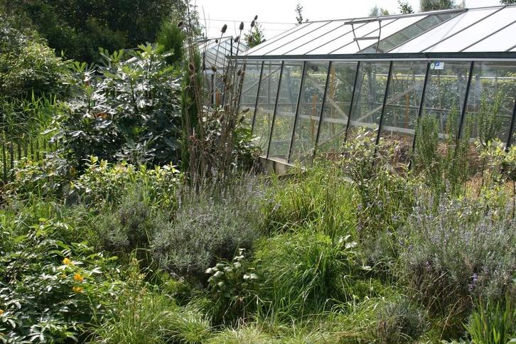 Serre 12 x 3.85 m, Tuin en Terras, Kassen, Zo goed als nieuw, Kweekkas, Aluminium, Glas, Ophalen of Verzenden