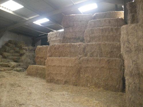 stro en veevoer, Zakelijke goederen, Landbouw | Veevoer, Ophalen
