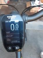 Herenfiets, Fietsen en Brommers, Elektrische fietsen, Ophalen, Gebruikt