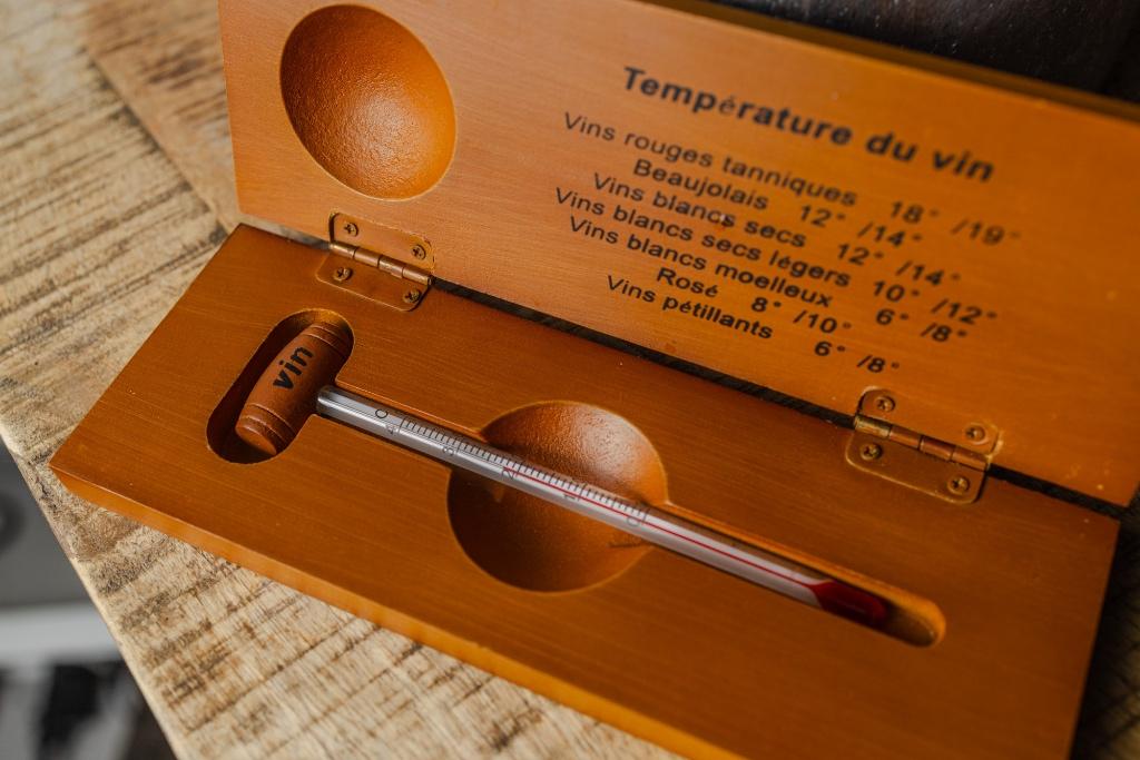 Vintage Wijnthermometer in Houten Houder, Verzamelen, Wijnen, Zo goed als nieuw, Rode wijn, Frankrijk, Ophalen of Verzenden