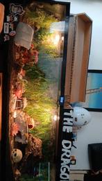 2 meter terrarium, Dieren en Toebehoren, Reptielen en Amfibieën | Toebehoren, Ophalen, Zo goed als nieuw, Terrarium of Paludarium