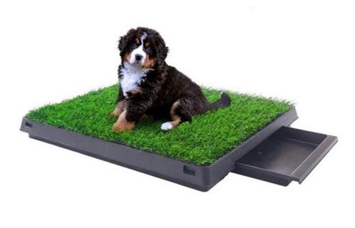 Ideaal Indoor Hondentoilet: Kunstgras met Bak- Met Levering, Tuin en Terras, Gras en Kunstgras, Ophalen of Verzenden