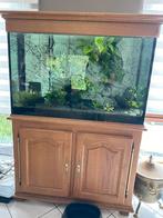 Aquarium van 300 liter samen te koop, Gebruikt, Gevuld zoetwateraquarium