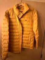Lichte wonterjas Levis, Kleding | Heren, Jassen | Winter, Ophalen, Geel, Zo goed als nieuw, Levi’s