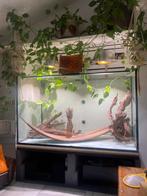 Aquarium 900 litres, Animaux & Accessoires, Enlèvement, Utilisé, Aquarium vide