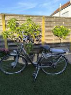 Gazelle innergy orange, Fietsen en Brommers, Elektrische fietsen, Ophalen, Gebruikt, 30 tot 50 km per accu, Gazelle