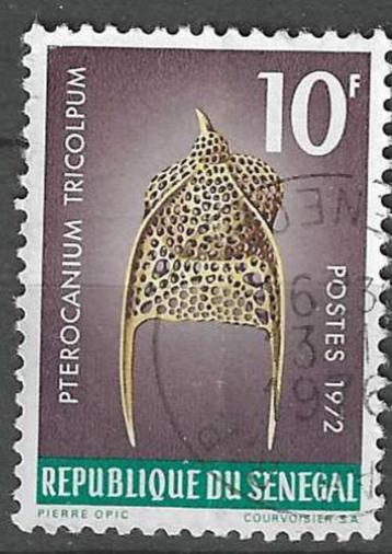 Senegal 1972 - Yvert 378 - Pterocantum tricolpum (ST)