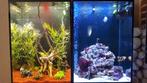 aquarium 60L, Ophalen, Gebruikt