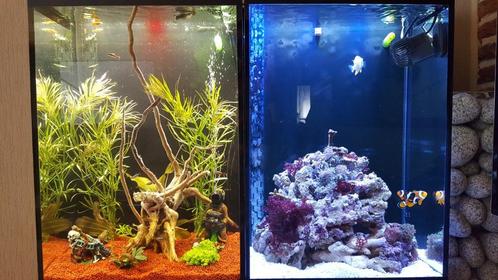 aquarium 60L, Dieren en Toebehoren, Vissen | Aquaria en Toebehoren, Gebruikt, Ophalen