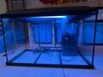 Aquarium Zolux ( environ 60/65 litres ), Ophalen, Gebruikt, Leeg aquarium