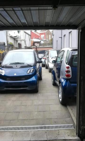 Club Smart heeft een passie voor gespecialiseerde profession beschikbaar voor biedingen