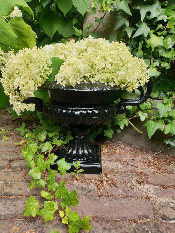 landelijke bloempot , bloemvaas , aanbieding, Jardin & Terrasse, Bacs à fleurs & Jardinières, Neuf, Jardin, Enlèvement ou Envoi