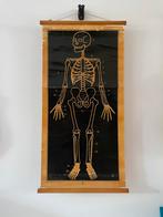 Authentieke schoolkaarten, Ophalen, Natuur en Biologie