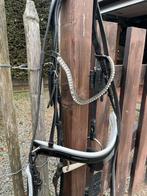 Hoofdstel met lakneksriem BR, Dieren en Toebehoren, Ophalen of Verzenden