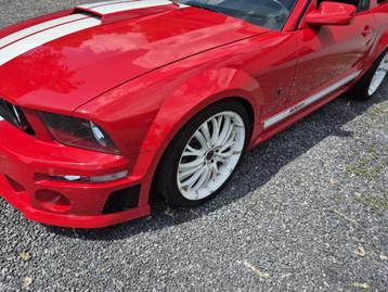 mustang beschikbaar voor biedingen