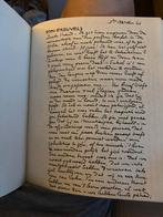 Boek over Seppe De Coene, Antiek en Kunst, Ophalen of Verzenden