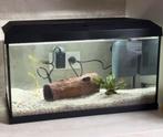 Juwel Primo 60 Led 2.0 60 liter, Dieren en Toebehoren, Ophalen, Zo goed als nieuw