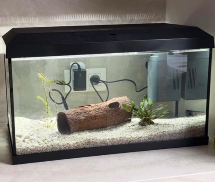 Juwel Primo 60 Led 2.0 60 liter, Dieren en Toebehoren, Vissen | Aquaria en Toebehoren, Zo goed als nieuw, Ophalen