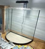 Tetra halfmoon 60l aquarium, Dieren en Toebehoren, Ophalen