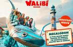 Walibi 4 tickets 100 euro (vaste prijs), Drie personen of meer, Ticket of Toegangskaart