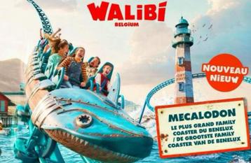 Walibi 4 tickets 100 euro (vaste prijs), Trois personnes ou plus, Ticket ou Carte d'accès