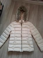 Winterjas Tommy Hilfiger, Enlèvement ou Envoi, Comme neuf