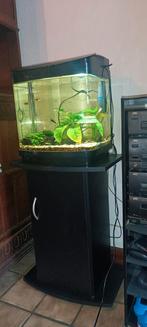 Aquarium met kastje te koop 30L, Ophalen, Gebruikt