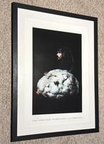 Genummerde en gesigneerde offset Koen Vanmechelen, Ophalen of Verzenden