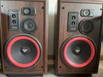 Cerwin Vega ! AT60 (AT12) volledig origineel!!!, Audio, Tv en Foto, Luidsprekerboxen, Zo goed als nieuw, 120 watt of meer, Front, Rear of Stereo speakers