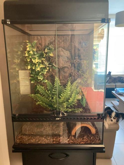Exo terra terrarium met bijhorende Exo terra kast., Dieren en Toebehoren, Reptielen en Amfibieën | Toebehoren, Zo goed als nieuw