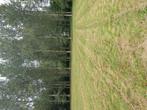 Weide, Dieren en Toebehoren