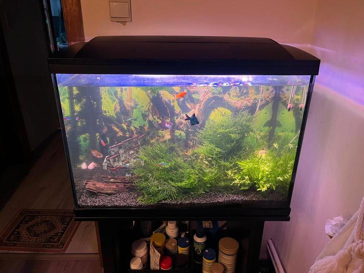 SuperFish Start 100 + CristalProfi e402 greenline, Animaux & Accessoires, Poissons | Aquariums & Accessoires, Utilisé, Autres types