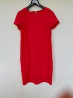 Jurk, Nieuw, Maat 36 (S), Boven de knie, Rood