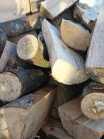 Bois chauffage sec, Tuin en Terras, Berkenhout