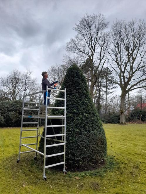 Tuinonderhoud en aanleg, Tuin en Terras, Overige Tuin en Terras, Zo goed als nieuw, Ophalen of Verzenden
