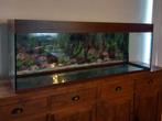 Terrarium, Dieren en Toebehoren, Ophalen, Gebruikt