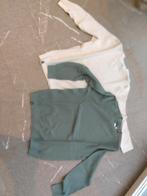 Truien America Today, Ophalen of Verzenden, Nieuw, Maat 46 (S) of kleiner, America today