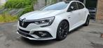 MEGANE RS, Auto's, Automaat, 158 g/km, Euro 6, 4 cilinders