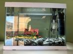 Aquarium met toebehoren, Dieren en Toebehoren, Ophalen, Gebruikt