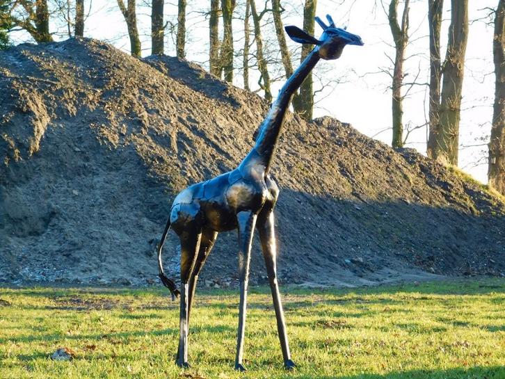 Handgemaakte Giraffe - 155 cm -  Metaal, Verzamelen, Beelden en Beeldjes, Ophalen of Verzenden