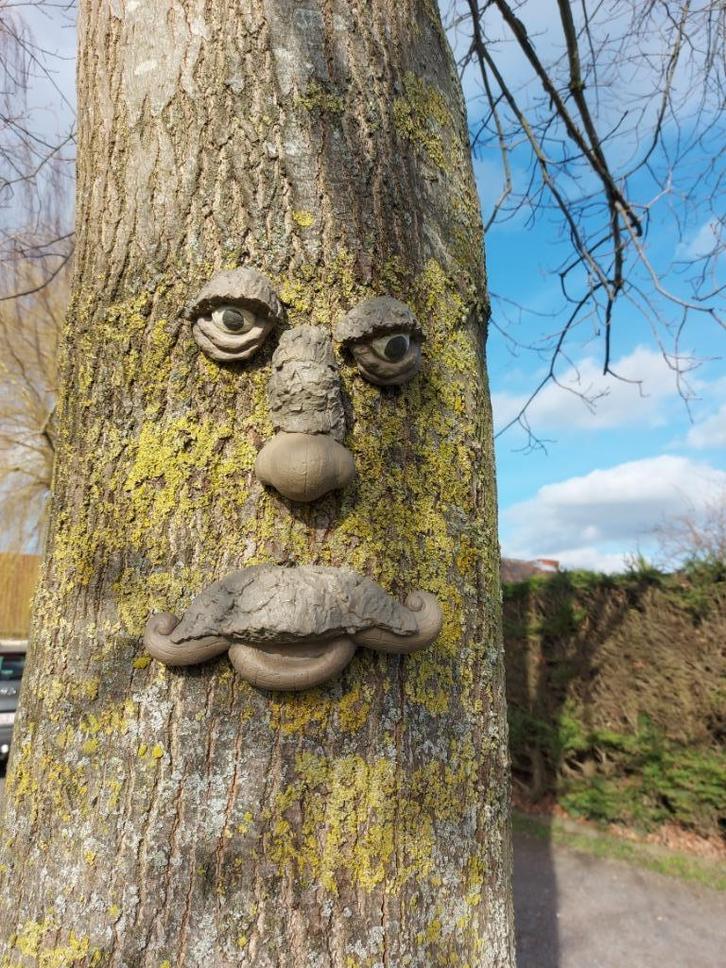 tuindecoratie- boomgezicht in 4 delen, Tuin en Terras, Tuinbeelden, Nieuw, Overige typen, Beton, Ophalen of Verzenden