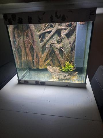 Aquarium lido 200, Dieren en Toebehoren, Ophalen of Verzenden, Zo goed als nieuw